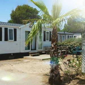 Zahrada ubytování Mobil home au castellas marseillan