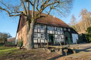 un viejo edificio con un árbol delante de él en Suffelmühle en Bad Driburg