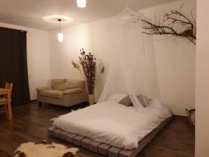 a bedroom with a bed with a mosquito net at Cluj City Iris Appartment in Cluj-Napoca