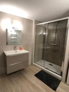 a bathroom with a shower and a sink and a glass shower stall at Beauty & The Beast - Old Town Cosy Apartments in Colmar