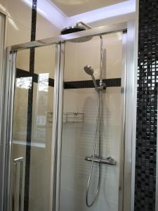 a shower in a bathroom with a glass door at Французська вілла in Dilyatyn