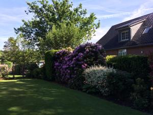 a garden with purple flowers in front of a house at Haus Moorkamp in Celle