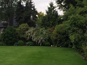 a large green lawn with trees and bushes at Haus Moorkamp in Celle