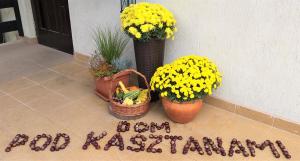 a sign that saysoor kazakhstan next to plants and flowers at Dom Pod Kasztanami in Kazimierz Dolny