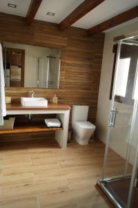 een badkamer met een wastafel en een toilet bij Puente viejo de Buitrago CASA ENCINA in Buitrago del Lozoya