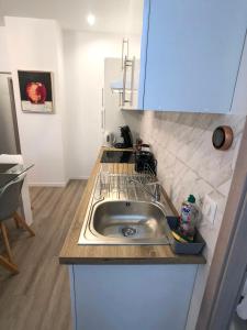 eine Küche mit einer Spüle und einer Arbeitsplatte in der Unterkunft Deluxe Design - City Center Cosy Apartments in Colmar