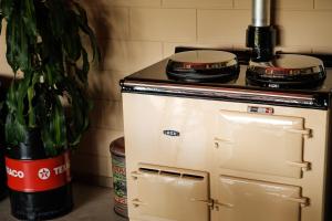 a stove top oven sitting next to a potted plant at Bed&Bbq Longhornranch in Akersloot