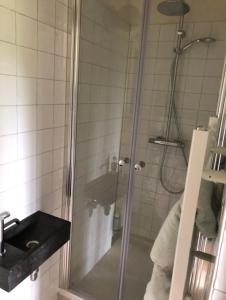 a shower with a glass door next to a sink at Gastenverblijf nature 4-persoons in Ouddorp