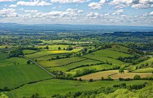an aerial view of a green field with trees at Herriot's Nook in Thirsk