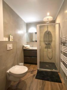 a bathroom with a shower and a toilet and a sink at Charming Home - City Center Cosy Apartments in Colmar