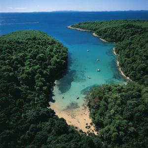 an aerial view of a beach with trees and water at Apartment in Rab/Insel Rab 16488 in Mundanije