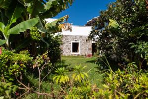 Vonkajšia záhrada v ubytovaní Villa Canaria piscina jacuzzi jardín