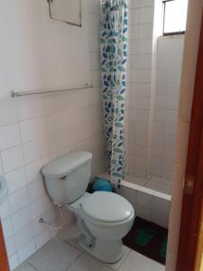 Krusty Hostel B&B tesisinde bir banyo