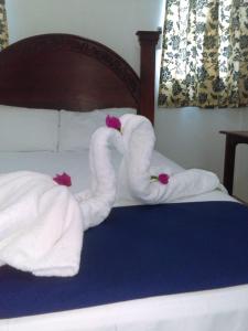 two towels are made to look like swans on a bed at Ensenada Resort in Punta Rucia