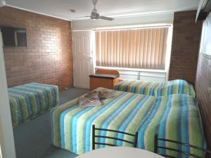 a bedroom with two twin beds and a window at Millmerran Motel in Millmerran