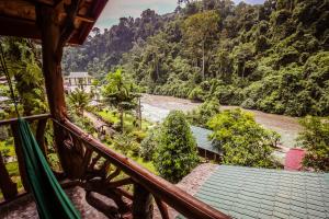 a balcony with a view of a river and trees at Garden Inn in Bukit Lawang