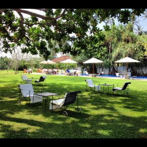 a group of chairs and tables in a field with umbrellas at Club Villa in Bentota