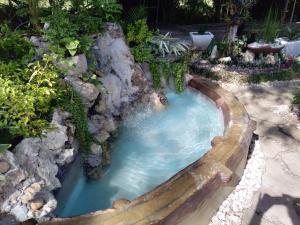 mały basen z wodą w ogrodzie w obiekcie Banamboo w mieście Badian