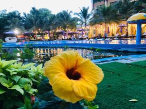 Con Khuong Resort Can Tho外面的花园
