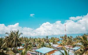 Foto dalla galleria di Tranquil Nest Vaavu a Rakeedhoo