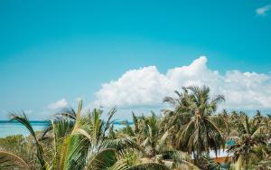 Foto dalla galleria di Tranquil Nest Vaavu a Rakeedhoo