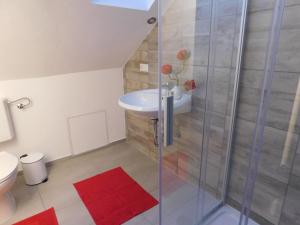 ein Badezimmer mit Dusche, Toilette und Waschbecken in der Unterkunft Haus Astenblick in Winterberg für bis zu 35 Personen für Wanderveranstaltungen und Familienfeiern in Winterberg