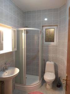 巴尔Бар Шушань Апартаменты Главановича 25的带淋浴、马桶和水槽的浴室 更多58张照片