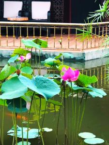 un gruppo di fiori e foglie rosa in acqua di Con Khuong Resort Can Tho a Can Tho
