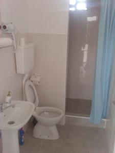 a bathroom with a toilet and a sink and a shower at Hostel AV Palanka in Bačka Palanka