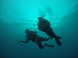 dos personas buceando en el agua en el océano en Rasdhoo Wave Blue, en Rasdu