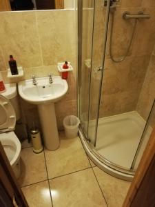 a bathroom with a shower and a sink and a toilet at Mullaghbeag Lodge in Navan
