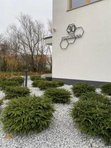 Vonkajšia záhrada v ubytovaní Bella Casa Premium Apartment - 30 Pszczelna