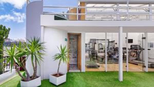um apartamento com uma varanda com duas palmeiras em Bull Astoria em Las Palmas de Gran Canárias