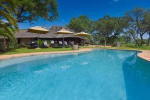 Gallery image of Thornybush Jackalberry Lodge in Thornybush Game Reserve