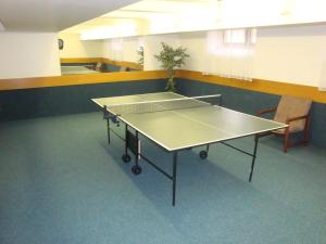 a ping pong table in an empty room with at Hotel Astra in Tuchlovice