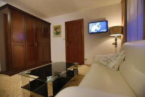 TV a/nebo společenská místnost v ubytování Hotel Jelinek
