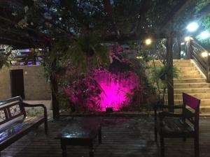 a fountain with pink lights in a park at night at Casa Pedra Bonita in Rio de Janeiro