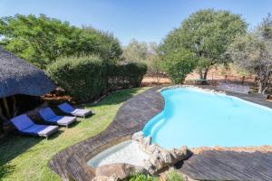 a swimming pool in a yard with lounge chairs next to it at Ijaba Lodge at Buschfeld Park in Outjo