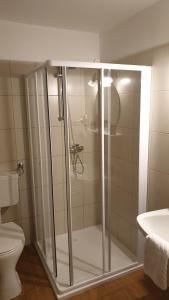 a glass shower in a bathroom with a toilet at Alpina Apartments - Zell am See in Zell am See
