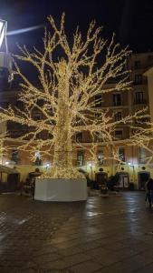 a tree decorated with lights in a city at night at B&Bobo in Salerno