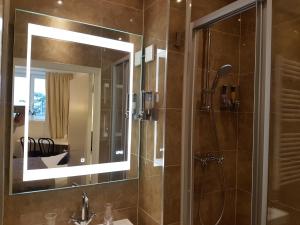 a bathroom with a shower and a mirror at B&B Wladimir Studios in Amsterdam +37 photos