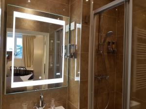 a bathroom with a shower and a mirror at B&B Wladimir Studios in Amsterdam