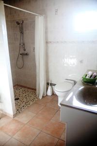een badkamer met een douche, een toilet en een wastafel bij La Maison De Maria in Folembray