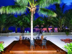 Aed väljaspool majutusasutust Seashell Beach Villa