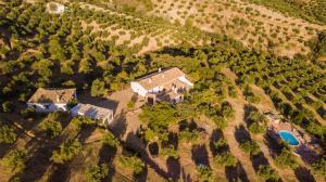 Bazén v ubytování Cortijo Rural Majolero nebo v jeho okolí
