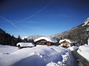 Berggasthof Bärnstatt v zimě