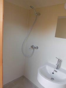 een douche in een badkamer met een wastafel bij Vakantiepark t Urkerbos - Blokhutje in Urk