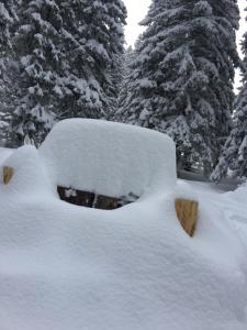 Avoriaz le M1212 v zimě