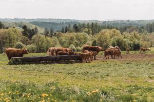 Zvieratá na farme alebo blízkom okolí