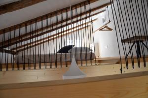 Fotografie z fotogalerie ubytování Apartments MartaMare v destinaci Martinšćica